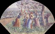 Camille Pissarro Peasant Women Placing pea-Sticks in the Ground china oil painting artist